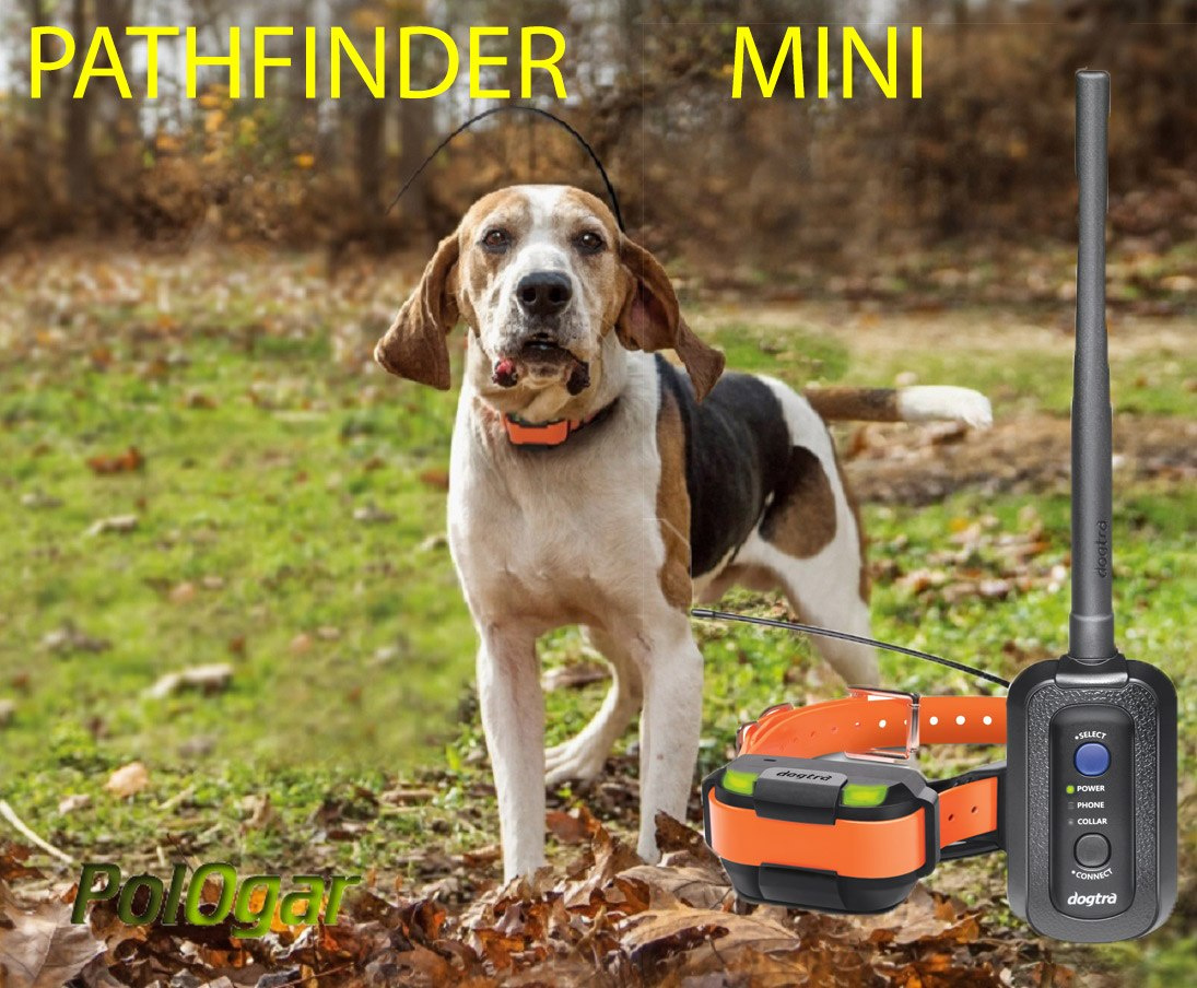 Dogtra pathfinder clearance application